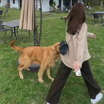 犯罪总动员
